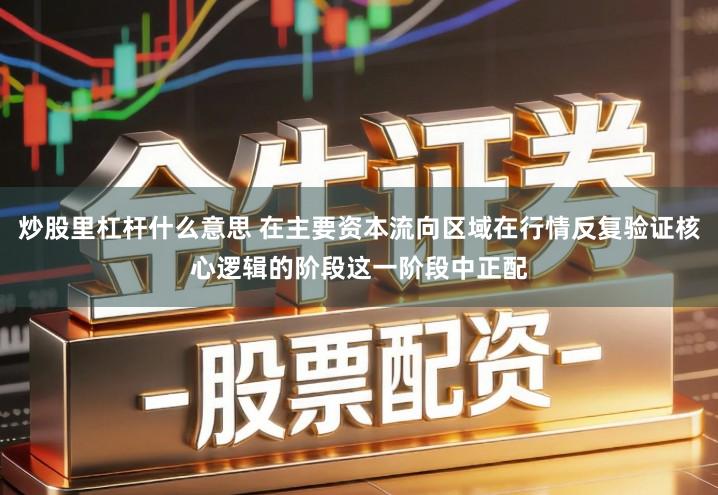 炒股里杠杆什么意思 在主要资本流向区域在行情反复验证核心逻辑的阶段这一阶段中正配
